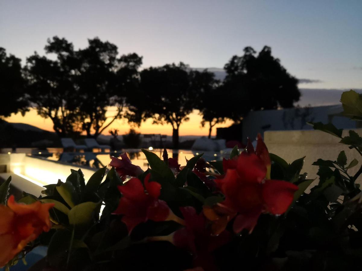 Villa Maria 多尔加利 外观 照片