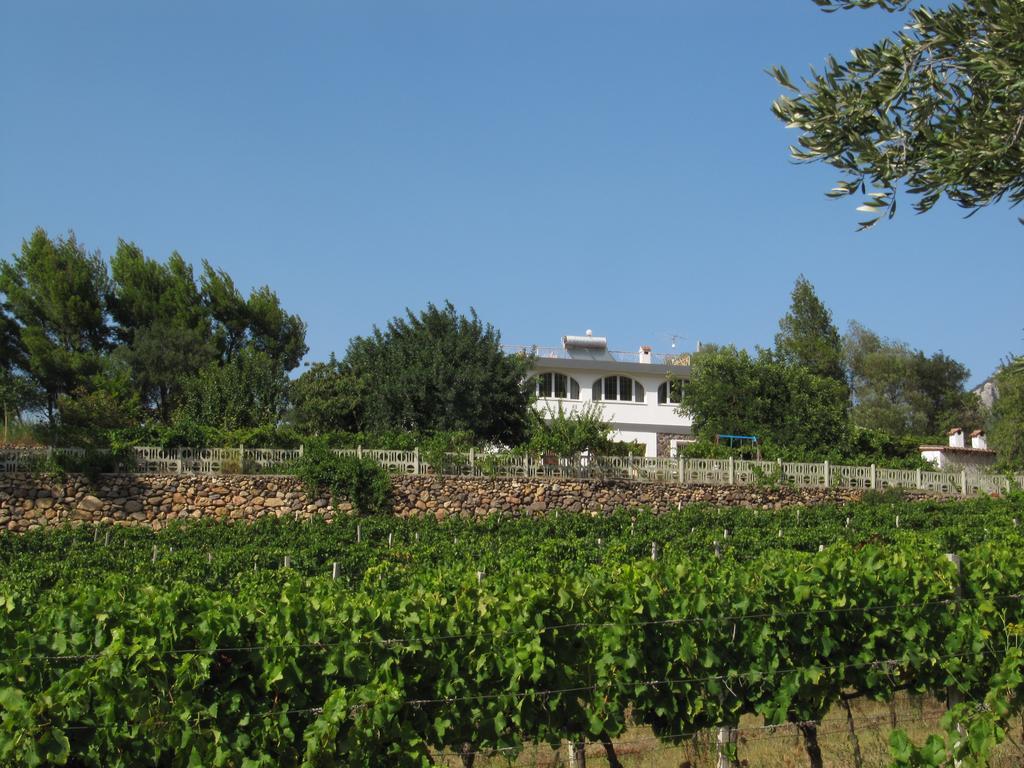 Villa Maria 多尔加利 外观 照片